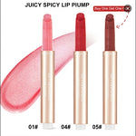 PHOFAY Juicy Lip Plump – Hydrating & Plumping Lip Treatment (13 Shades)