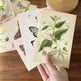 Forest Plant Series Decorative Card Wall Bedroom Postcard Wall Sticker Decoration Decorative Card - EX-STOCK CANADA