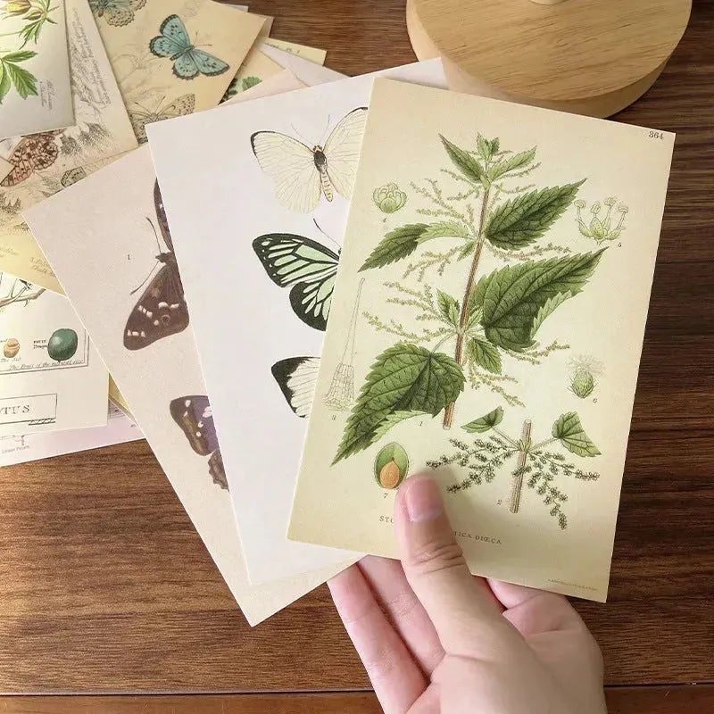 Forest Plant Series Decorative Card Wall Bedroom Postcard Wall Sticker Decoration Decorative Card - EX-STOCK CANADA