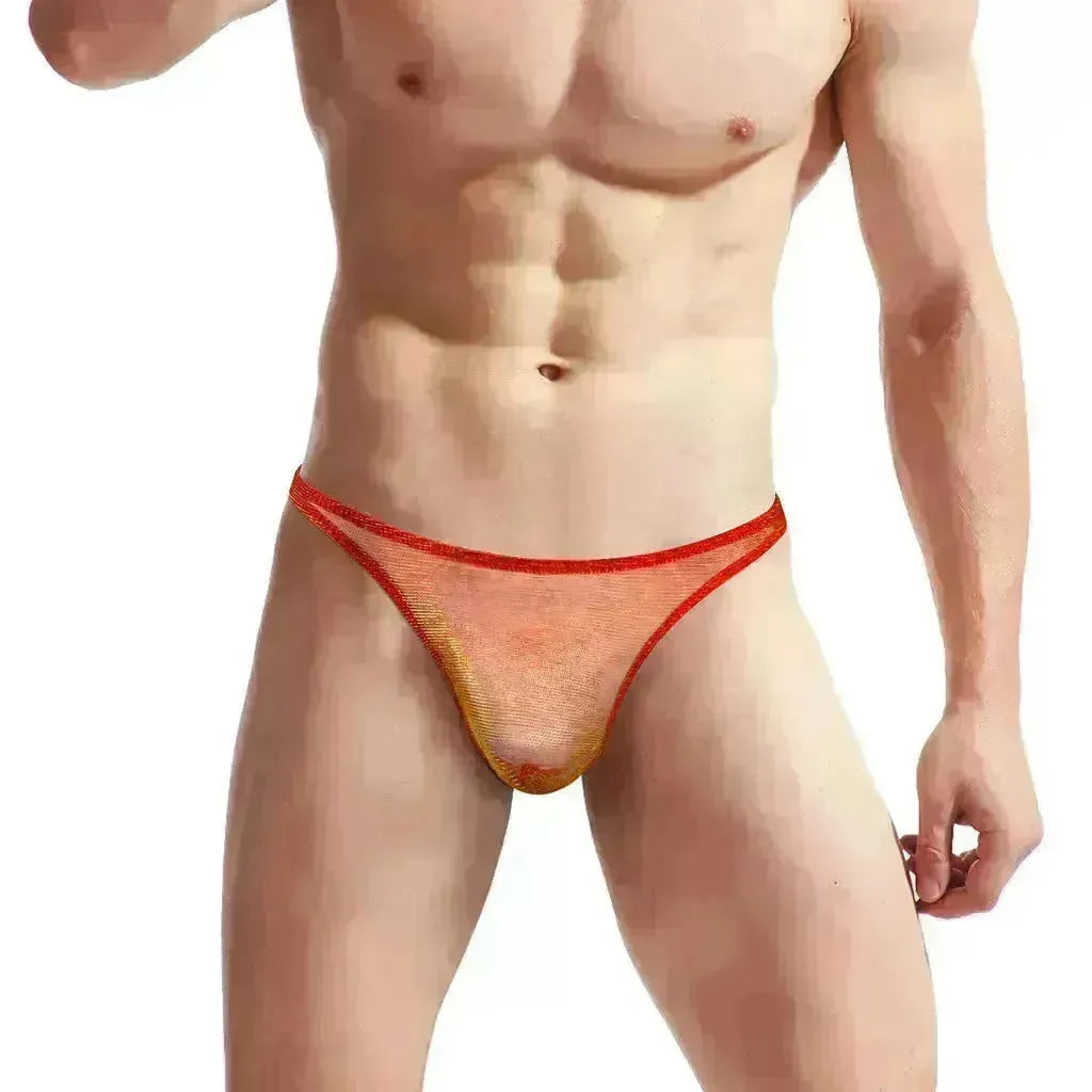 Men's Underwear Silk Spandex Briefs thong