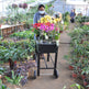Mobile Metal Raised Garden Bed Cart With Legs, Elevated Tall Planter Box With Wheels For Outdoor Indoors House Patio  Vegetables Tomato DIY Herb Grow -Black EX-STOCK