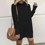 Oversized Mini Turtleneck Pullover Dress