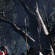 Assassin's Creed III 