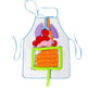 Colorful anatomical model of a human body on a white background
