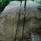Two black hiking poles with blue and orange accents leaning against a large stone outdoors, with green foliage in the background.