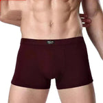 Men's Underwear Boxer Briefs Panties Bamboo Fiber Modal