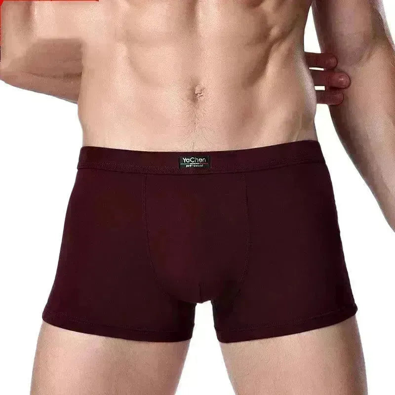 Herrenunterwäsche Boxer Slips Höschen Bambusfasermodal