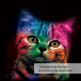 Cat Bedding For Kids Girls Boys Cute Colorful Cat Pattern Quilt Cover Bedspread 3 Piece Bold Color Black Animal Duvet Cover Set For Single Bed EX-STOCK Canada 