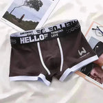 Resumen de boxeadores de algodón para hombres de moda