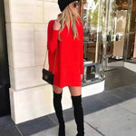 Oversized Mini Turtleneck Pullover Dress