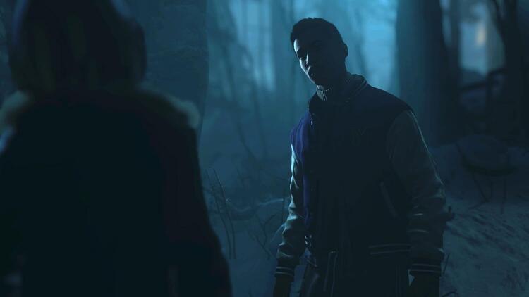 Until Dawn 