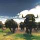 Cabela's African Adventures 