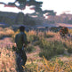 Cabela's African Adventures 