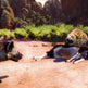 Cabela's African Adventures 