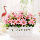 Living Room Set Ornament Hanging Basket Wall EX-STOCK Canada 