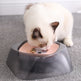 Pet Dog Bowl Floating Not Wetting Mouth Cat Bowl No Spill Drinking Water Feeder EX-STOCK Canada 