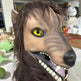 2d4bafff592455934fdf0e82189958d8
