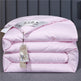 Summer Quilt Spring And Autumn Thickening Thermal Winter Duvet EX-STOCK Canada 