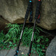 Two black hiking poles with blue and red accents leaning against a large rock outdoors on a paved ground with green plants.