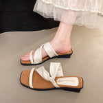 Zapatillas de verano 2025 de nuevo estilo francés con tacón bajo para mujer, sandalias de estilo hada para exterior, elegantes sandalias combinables con vestido en negro, plata y beige 