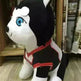 Kuroko's basketball sitting plush plush doll - EX-STOCK CANADA