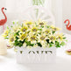 Living Room Set Ornament Hanging Basket Wall EX-STOCK Canada 