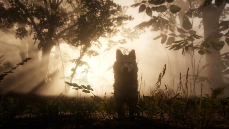 Red Dead Redemption II 
