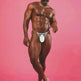 Lightweight High-fork Briefs Transparent Underwear Breathable - EX-STOCK CANADA
