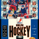 NHLPA Hockey 93 
