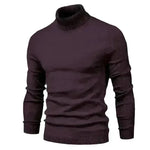 Men's Plain Slim Pullover Polo Sweatshirt Turtleneck Sweater Winter Casual Tops Men - EX-STOCK CANADA