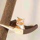 Solid Wood Large Cat Climbing Frame Cat Litter Cat Tree One Cat Shelf - EX-STOCK CANADA
