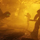 Fallout 76 