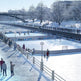 NHL 20 