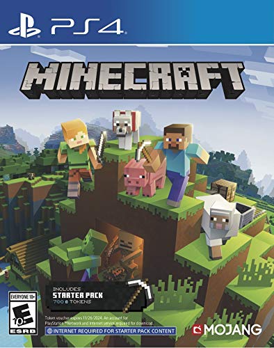 minecraft - Starter Pack 
