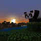 minecraft - Starter Pack 