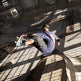 TONY HAWK'S PRO SKATER 1+2 