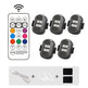 Set of LED lights with remote control on a white background