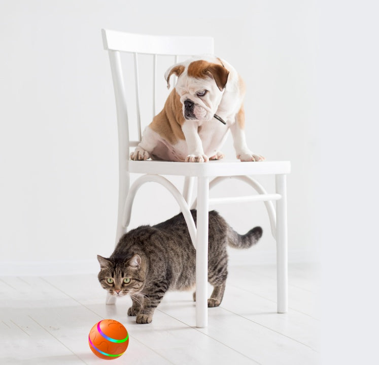 Pet New Cat Wicked Ball Toy Intelligent Ball USB Cat Toys Self Rotating Ball Automatic Rotation Ball EX-STOCK Canada 