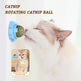 Cat playing with a catnip ball, with text about catnip and a small inset of a cat.