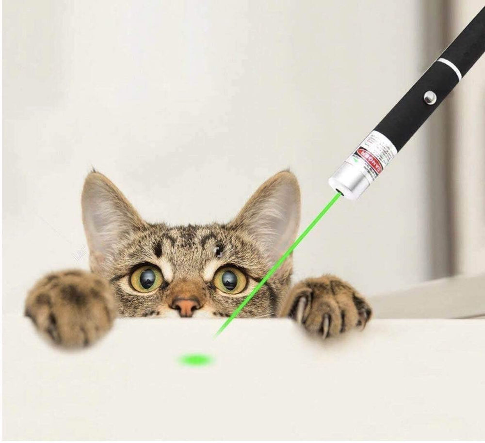 Pet Toy Green Laser Pointer Pen Light Single Beam High Power Lazer Flashlight 900Miles 1mW 532nm Torch EX-STOCK