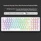 Translucent keycaps three-mode mechanical keyboard with RGB lighting effects on a black background