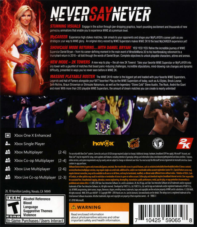 WWE 2K19 (usagé) 