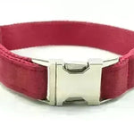 Pet Traction Collar Tactical Dog Collars - EX-STOCK CANADA