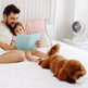 Air Circulator Desk Fan Portable Desktop Rechargeable Oscillating Fan With 4 Speeds 360 Degree Tilt Head Automatic Rotation Quiet 40dB Table Fan For Home Office Bedroom EX-STOCK