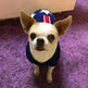 Christmas Maple Snowflake Turtleneck Knitted Sweater Pet Clothes - EX-STOCK CANADA