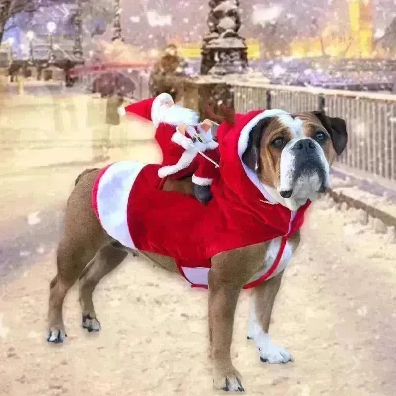 Santa riding outfit - EX-STOCK CANADA