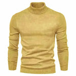 Men's Plain Slim Pullover Polo Sweatshirt Turtleneck Sweater Winter Casual Tops Men - EX-STOCK CANADA