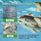 Igbang Wild Fishing Bait Small Medicine Fish Attractant EX-STOCK