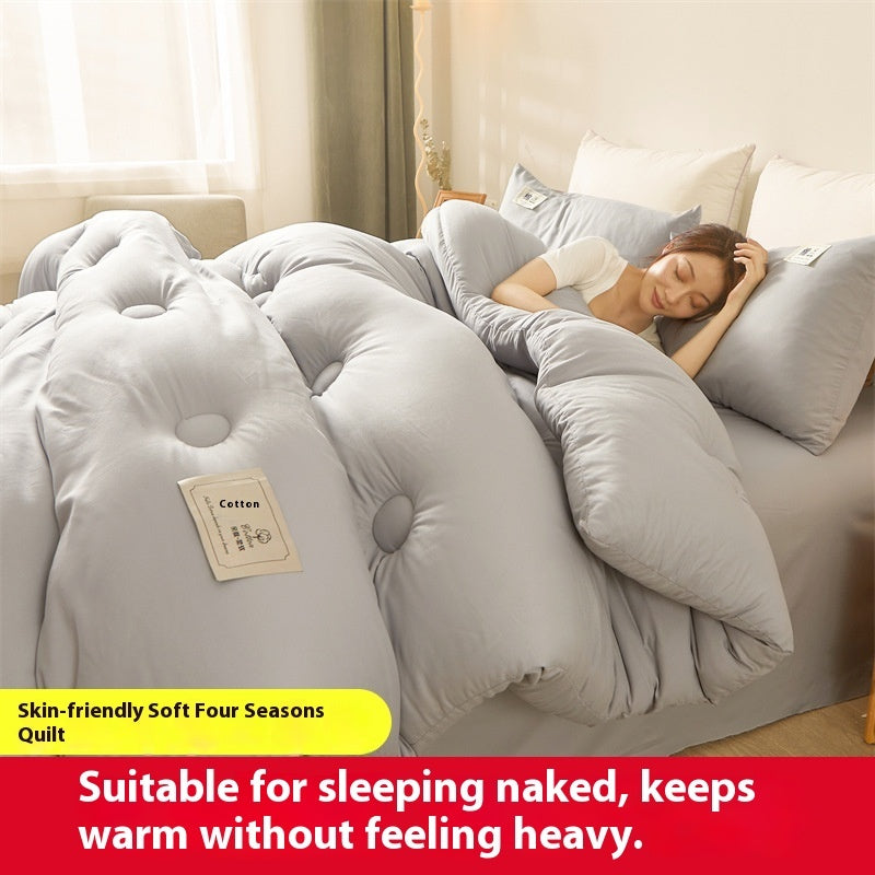Airable Cover Double Thickened Cotton Duvet Insert EX-STOCK Canada 