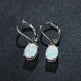Four-claw Oval Opal Earrings European And American Ornament - EX-STOCK CANADA